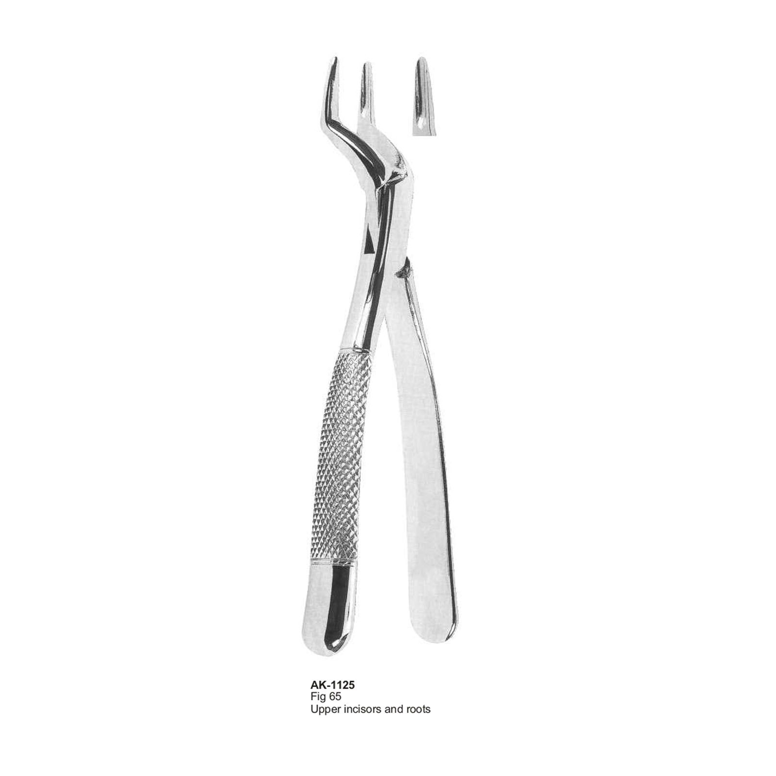 Upper Incisors and Roots Forceps - Akhyar Surgical