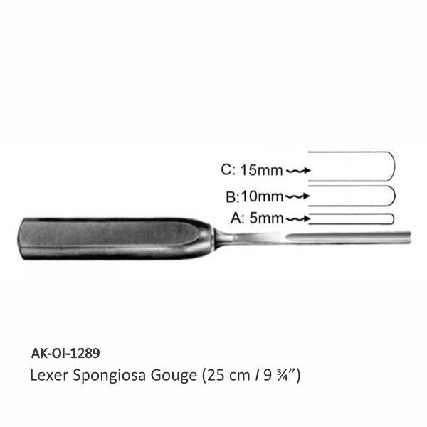 Lexer Spongiosa Gouge