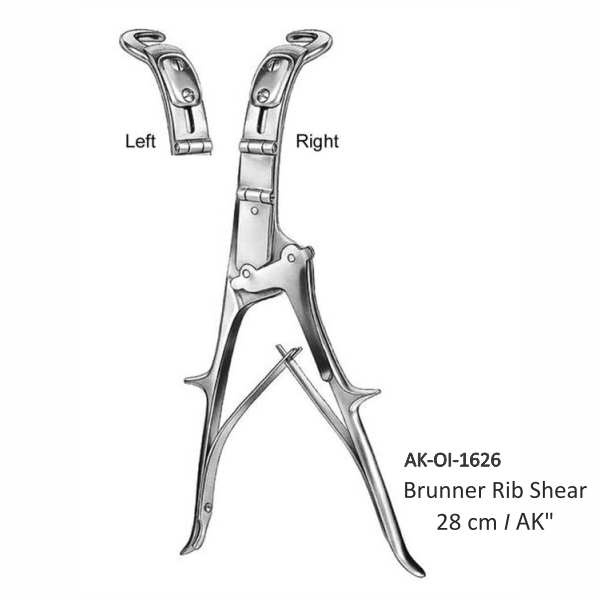 Brunner Rib Shear