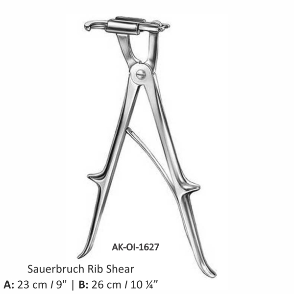 Sauerbruch Rib Shear