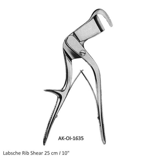 Labsche Rib Shear