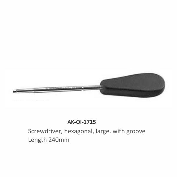 Screwdriver hexagonal large