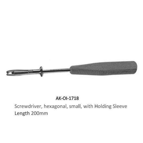 Screwdriver hexagonal