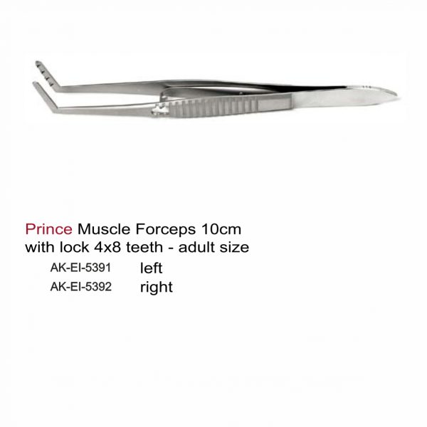 Prince Muscle Forceps