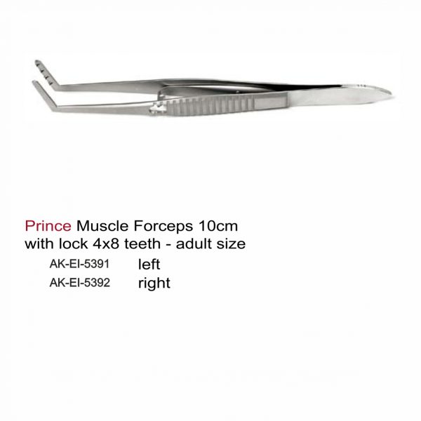 Prince Muscle Forceps